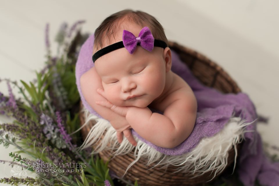 Velvet Bow Headband - Chic Crystals