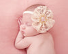 Lace  Headband - Chic Crystals