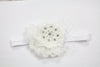 Copy of Olivia Headband - Chic Crystals