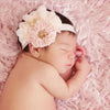Chiffon Headband - Chic Crystals