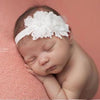 Chiffon Flower Band - Chic Crystals